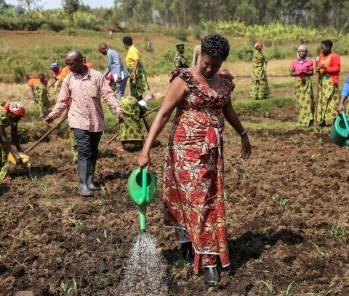Coopérative: Promouvoir le travail en coopératives pour se développer doit se faire en parallèle avec le changement de certaines attitudes